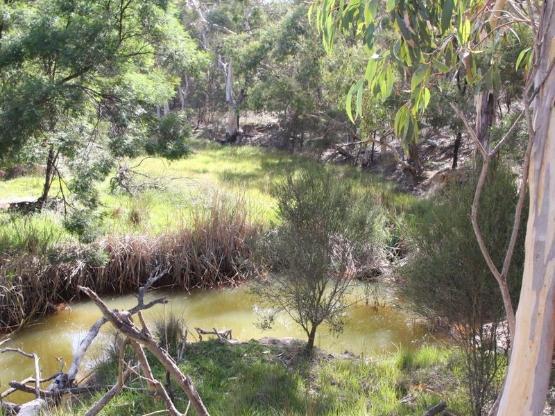 853 Mayfield Road ‘Sandy Creek’, Braidwood NSW 2622