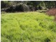 853 Mayfield Road ‘Sandy Creek’, Braidwood NSW 2622