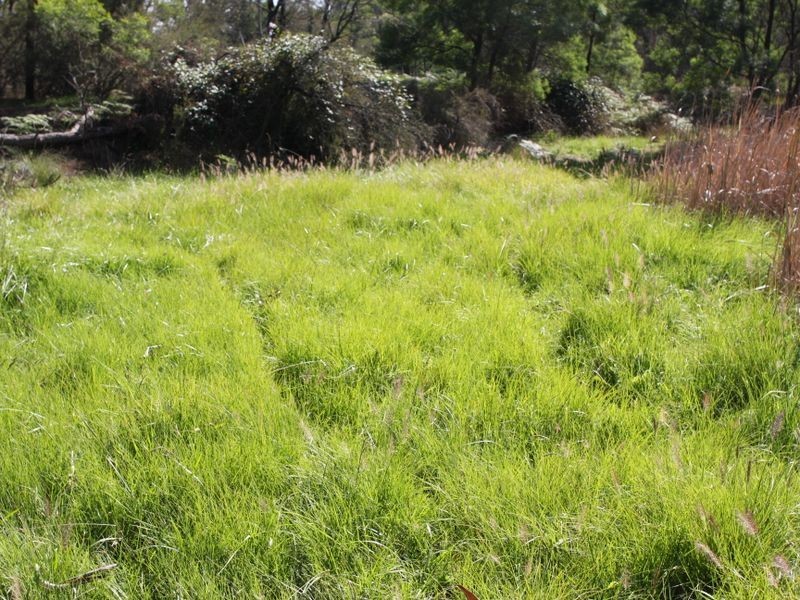 853 Mayfield Road ‘Sandy Creek’, Braidwood NSW 2622