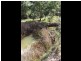 853 Mayfield Road ‘Sandy Creek’, Braidwood NSW 2622
