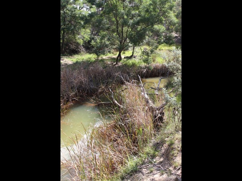 853 Mayfield Road ‘Sandy Creek’, Braidwood NSW 2622