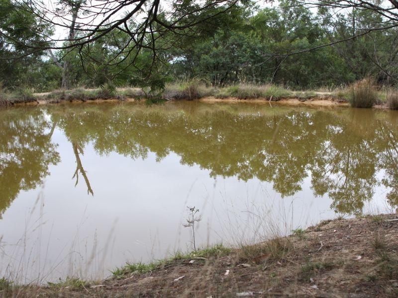 5 Hereford Hall Road, Mayfield NSW 2622