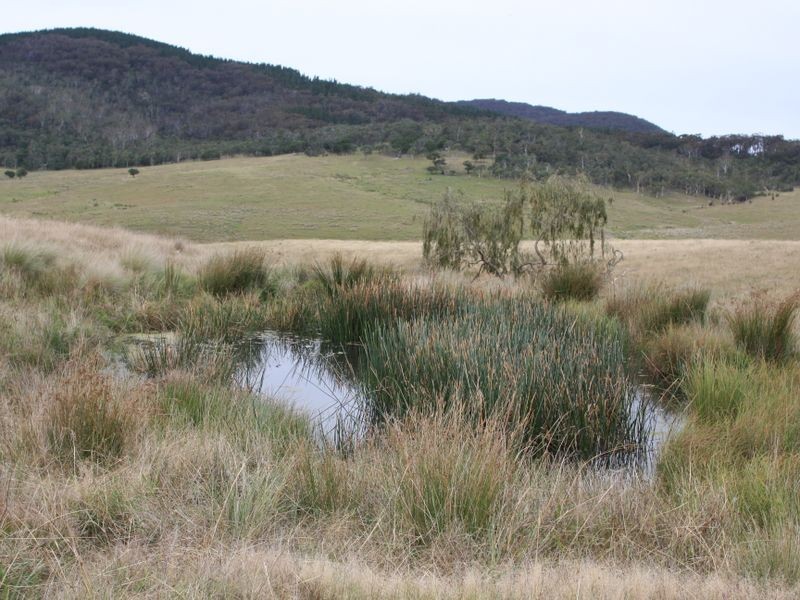 728 Kain Road, Mayfield NSW 2622