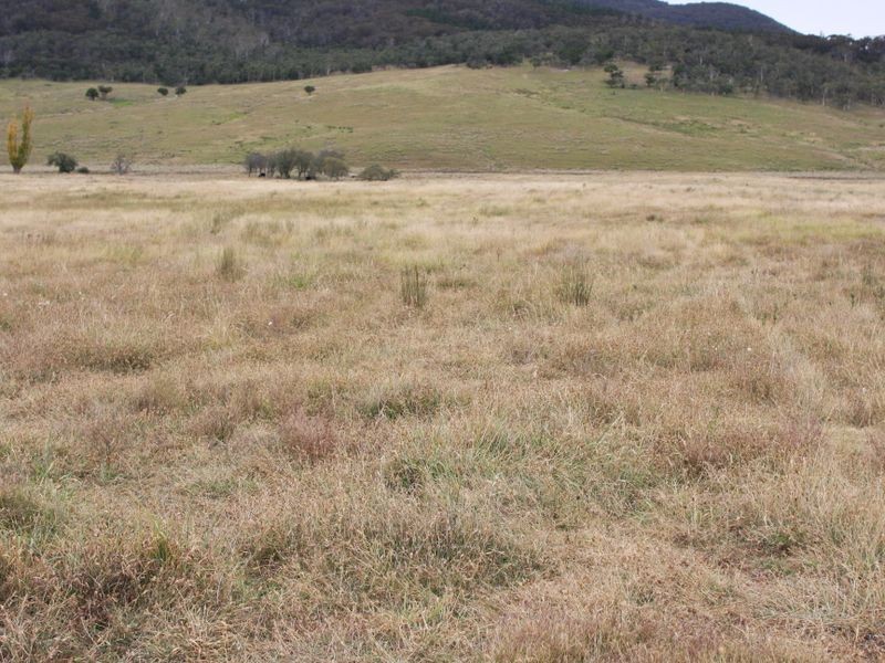 728 Kain Road, Mayfield NSW 2622