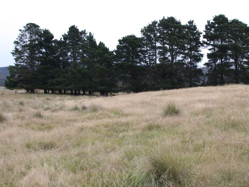 728 Kain Road, Mayfield NSW 2622