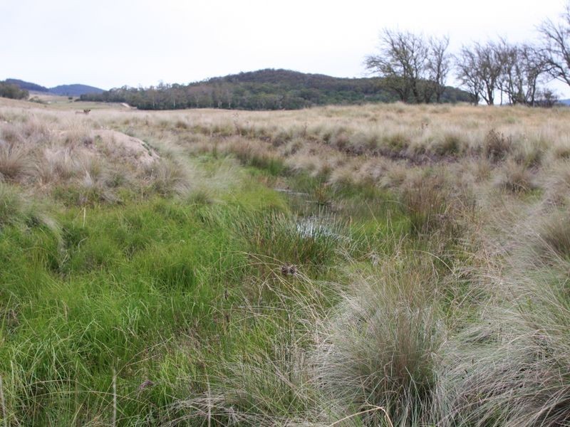 728 Kain Road, Mayfield NSW 2622