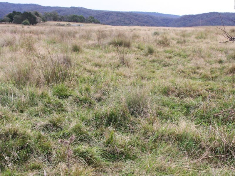 728 Kain Road, Mayfield NSW 2622