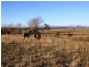 12 Cooma Road, Braidwood NSW 2622
