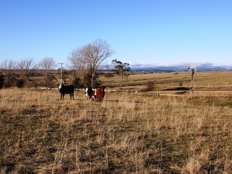 12 Cooma Road, Braidwood NSW 2622