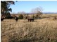 12 Cooma Road, Braidwood NSW 2622