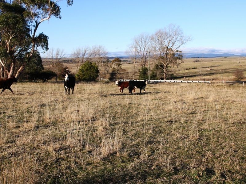 12 Cooma Road, Braidwood NSW 2622