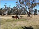 12 Cooma Road, Braidwood NSW 2622