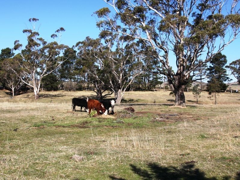 12 Cooma Road, Braidwood NSW 2622