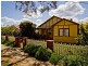 29 Morton Street, Queanbeyan NSW 2620