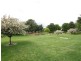 51 Campbell Street, Queanbeyan NSW 2620