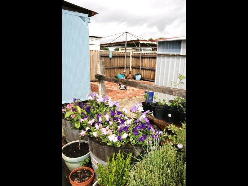 51 Campbell Street, Queanbeyan NSW 2620