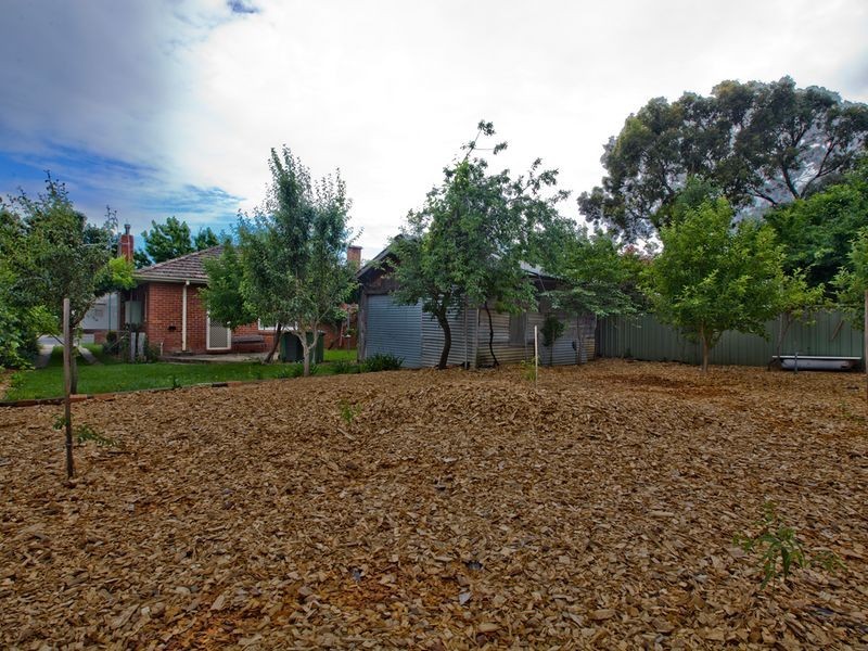 17 Hayes Street, Queanbeyan NSW 2620