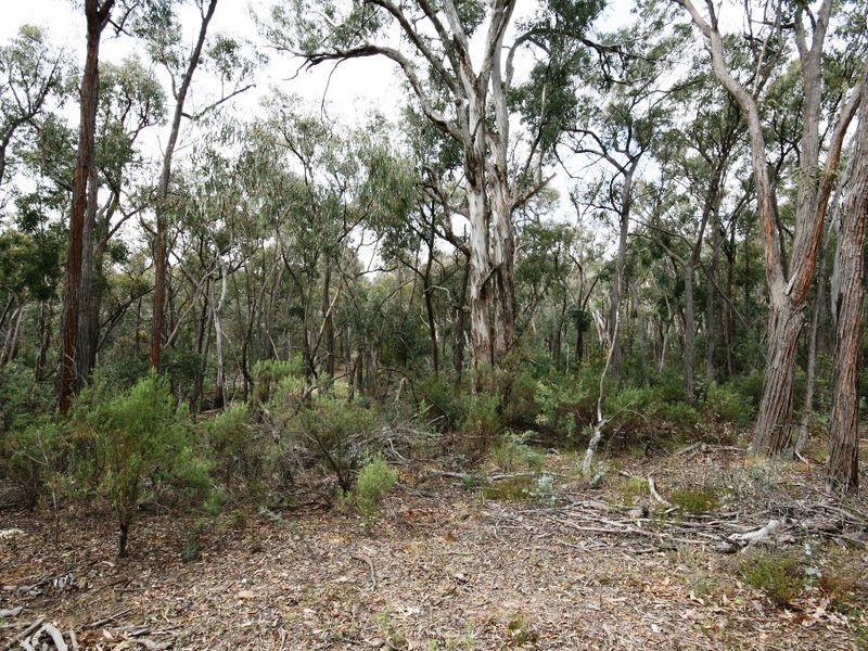LOT 95 Egans Road, Michelago NSW 2620