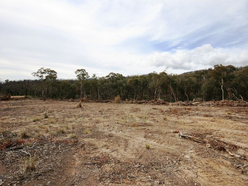 LOT 95 Egans Road, Michelago NSW 2620