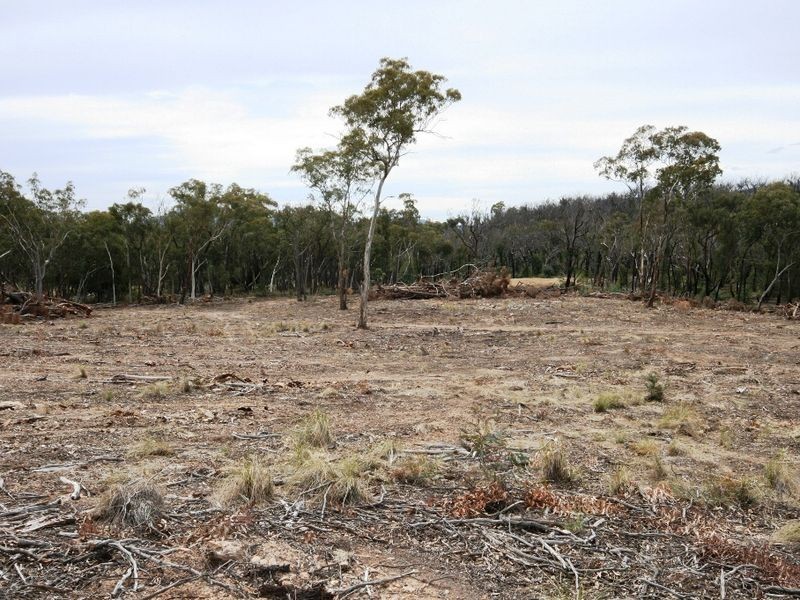 LOT 95 Egans Road, Michelago NSW 2620