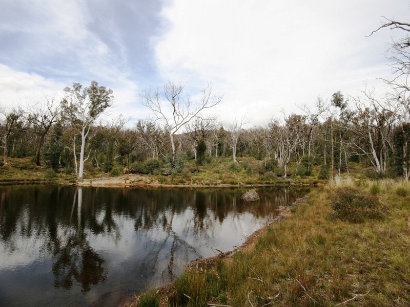 LOT 95 Egans Road, Michelago NSW 2620