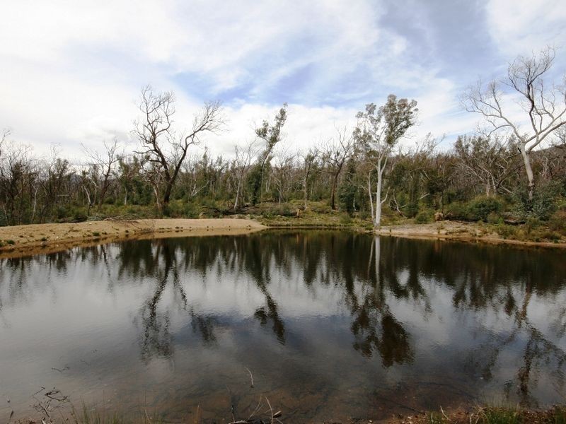 LOT 95 Egans Road, Michelago NSW 2620