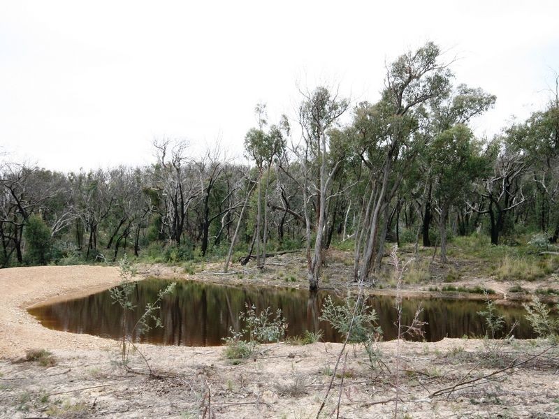 LOT 95 Egans Road, Michelago NSW 2620