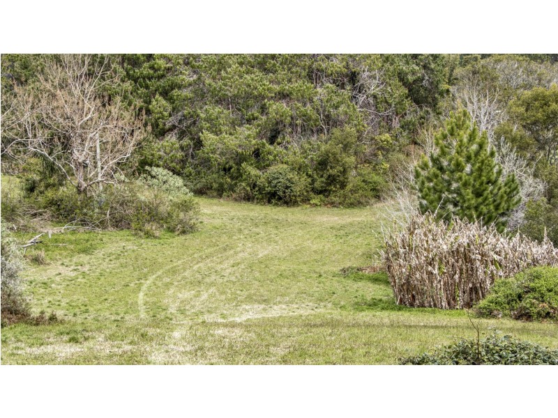 4 Kuralboo Street, Springbrook QLD 4213