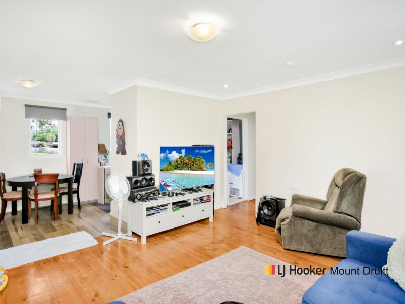 19 Koomooloo Crescent, Shalvey NSW 2770