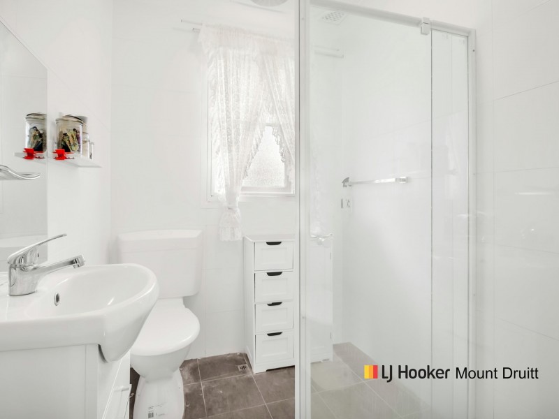 19 Koomooloo Crescent, Shalvey NSW 2770