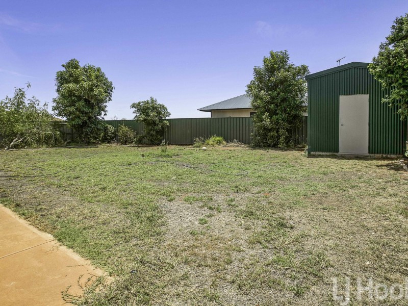 19 Macmahon Way, Baynton WA 6714