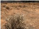 15 Honeymoon Road, Point Samson WA 6720