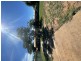56 Richardson Way, Bulgarra WA 6714