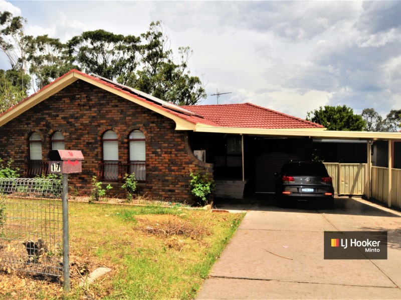17 Borthwick Street, Minto NSW 2566