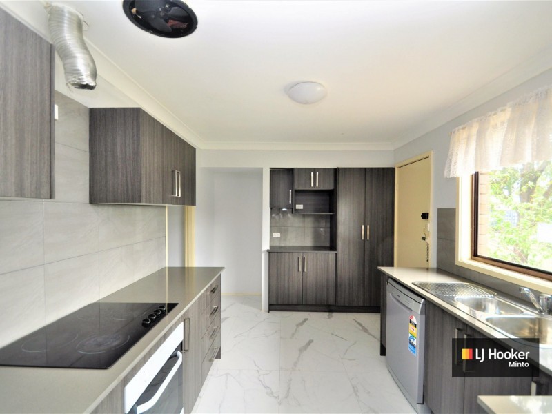 17 Borthwick Street, Minto NSW 2566