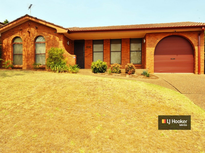 237 Eagleview Road, Minto NSW 2566