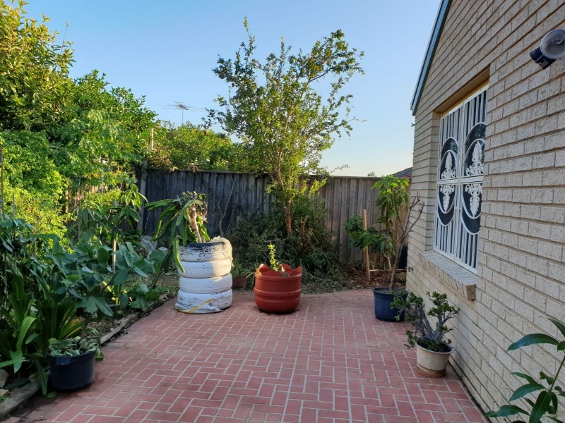 14 Norman Dunlop Cres, Minto NSW 2566