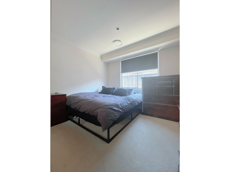 3 Harrison Pl, Minto NSW 2566