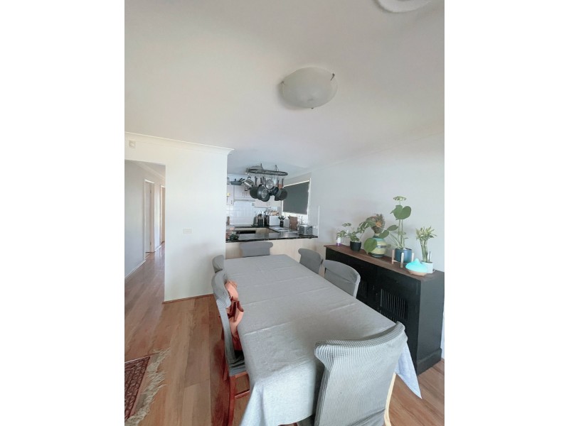 3 Harrison Pl, Minto NSW 2566