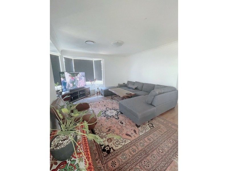 3 Harrison Pl, Minto NSW 2566