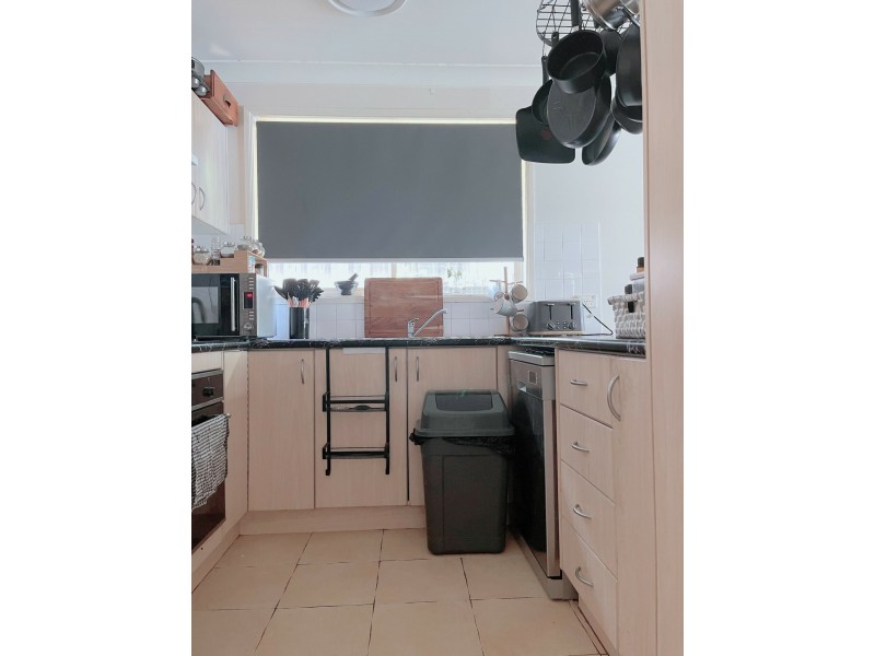 3 Harrison Pl, Minto NSW 2566