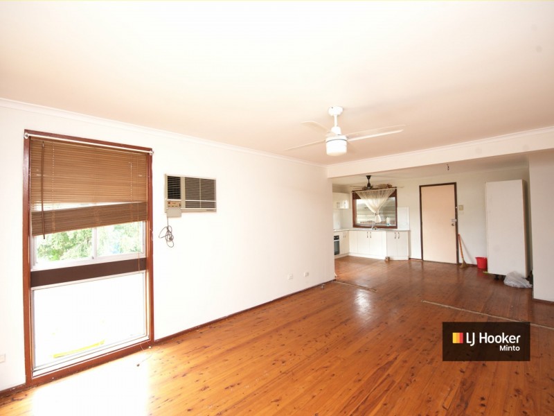 19 Pickett Ave, Minto NSW 2566