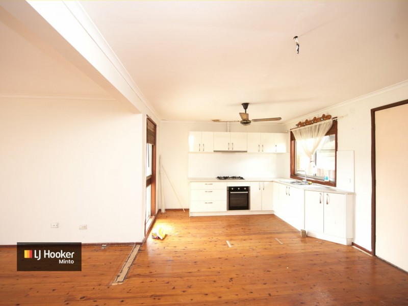 19 Pickett Ave, Minto NSW 2566