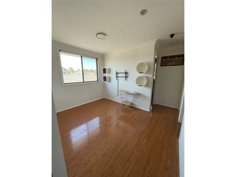 27 Grampine Ave, Minto NSW 2566