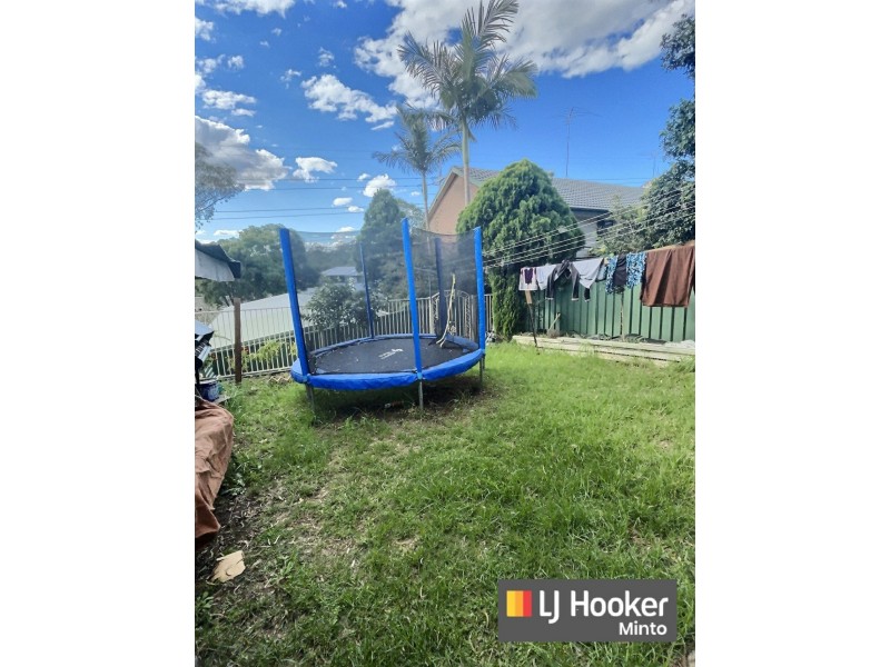 3 Ross Pl, Minto NSW 2566