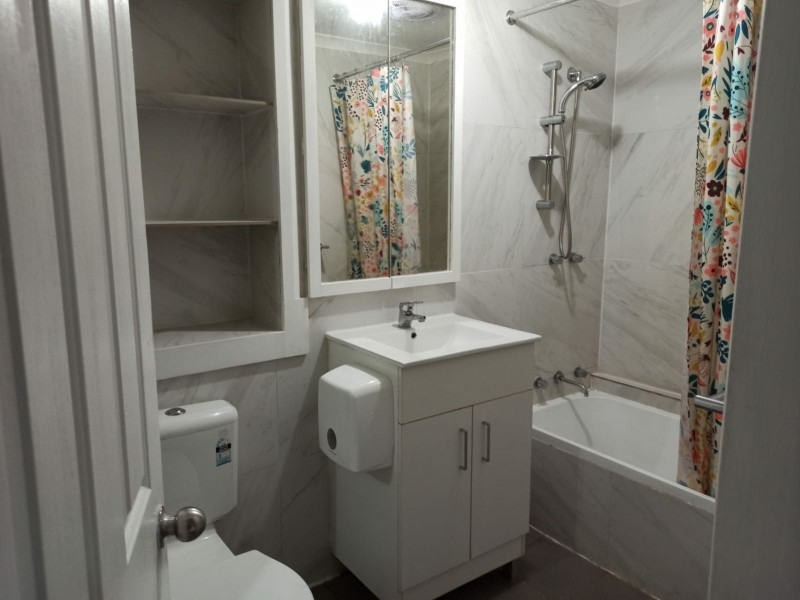 5 Clematis Pace, Macquarie Fields NSW 2564