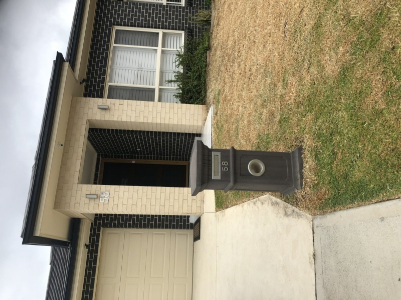 58 Cathedral ave, Minto NSW 2566