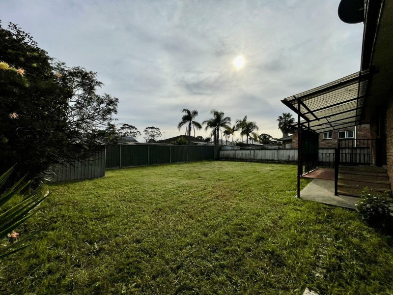 11 Chaperon Crescent, Minto NSW 2566