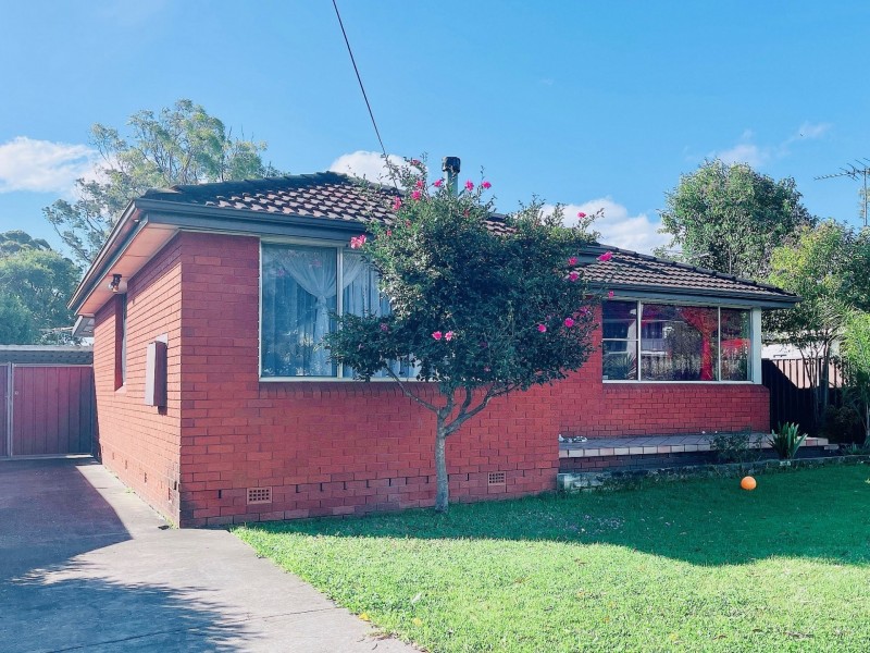 4 Durham St, Minto NSW 2566