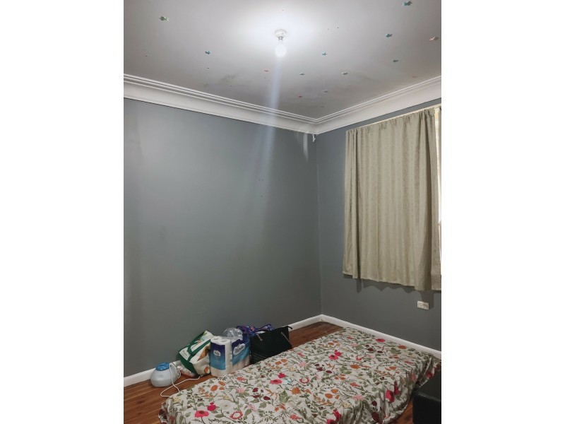 4 Durham St, Minto NSW 2566